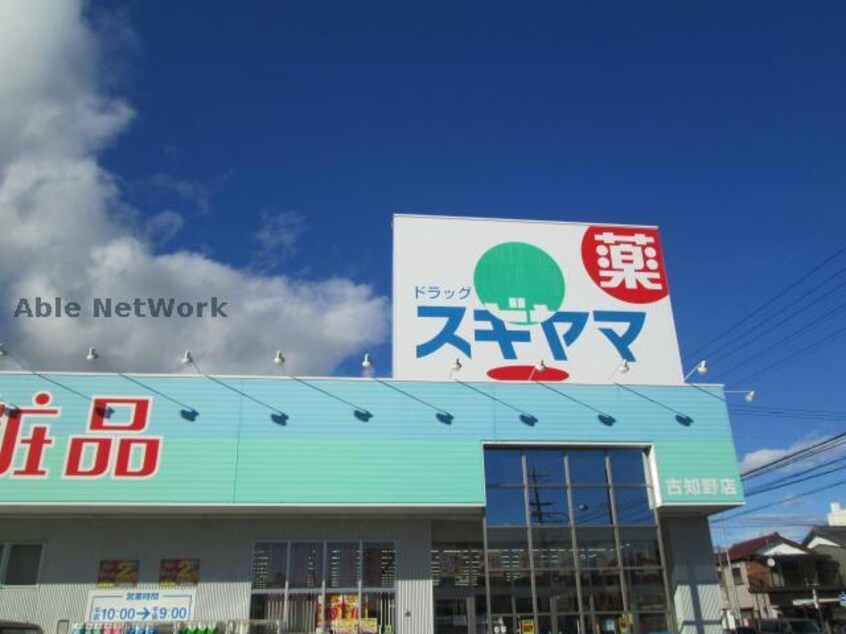 ドラッグスギヤマ古知野店(ドラッグストア)まで784m アムール栄