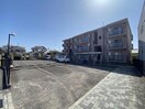  パラシオイトウ