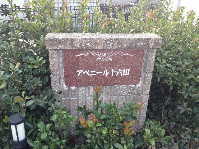 建物設備 アベニール十六田