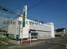 名古屋銀行扶桑支店(銀行)まで244m プラシード・メゾン