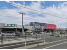 DCM尾西店(電気量販店/ホームセンター)まで547m リーブルファイン東五城