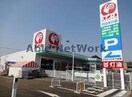 コメリハード＆グリーン木更津請西店(電気量販店/ホームセンター)まで2078m アネックス山王