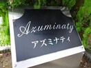 アズミナティ アズミナティ