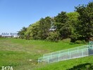 野際公園(公園)まで1501m カナシン