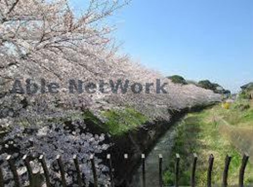 畑沢公園(公園)まで2202m ブルーコスモ西坂田