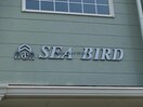  ＳＥＡ　ＢＩＲＤ