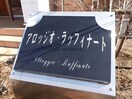  アロッジオラッフィナート