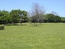 市民ふれあい公園(公園)まで2633m フロンティエール西館