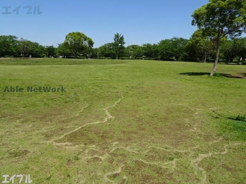 八崎公園(公園)まで743m サンホームズ