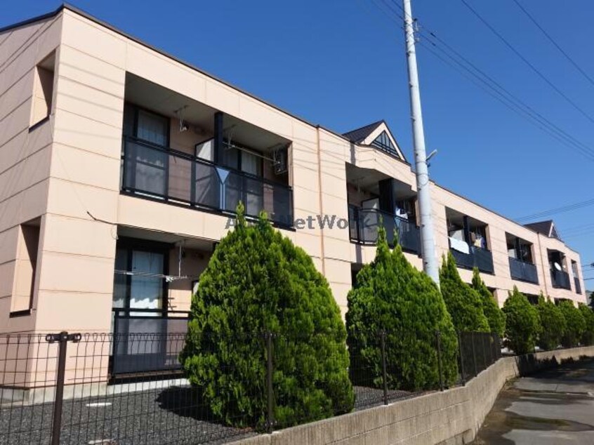  バンベール文京