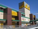 アピタ木更津店(スーパー)まで759m フラガンシア南館