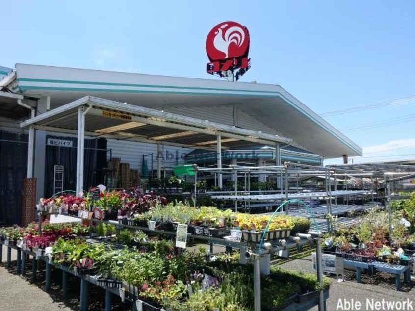 コメリハード＆グリーン木更津請西店(電気量販店/ホームセンター)まで213m リーフ Leaf