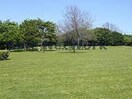 市民ふれあい公園(公園)まで1764m リヴェール