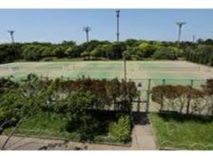 富士見グリーンテニス公園(公園)まで1468m メゾンティエラ