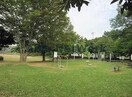 蔵波公園(公園)まで1290m プレシャス