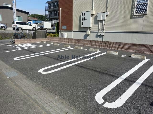 ダブルライン ヴァイオレットハーモニー