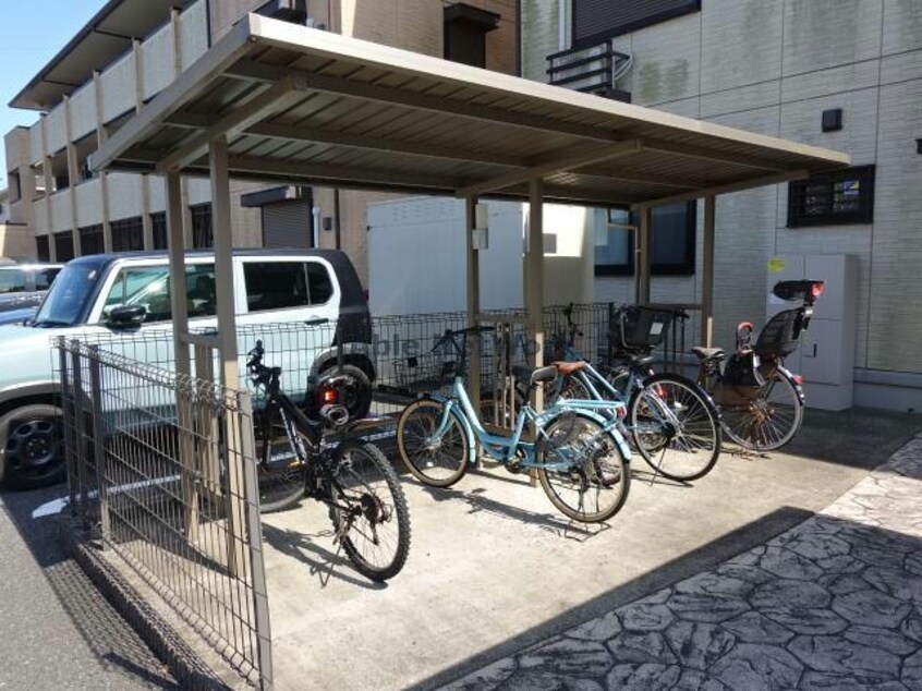  ｻｳｻﾞﾝﾄﾞｻﾆｰ　WEST