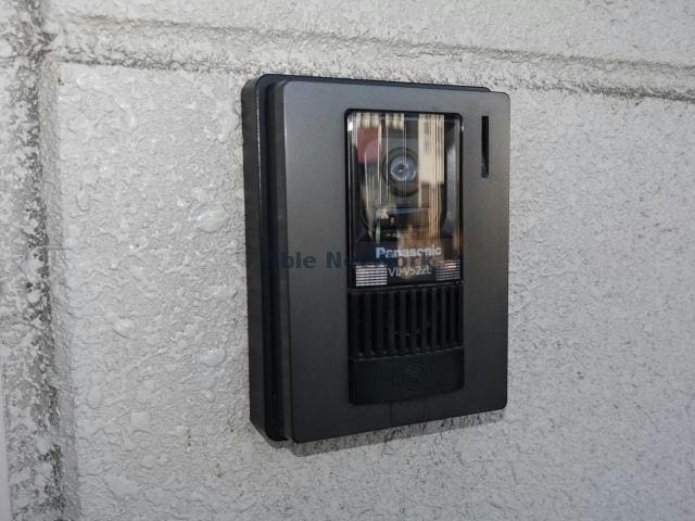  アクアフェバリット