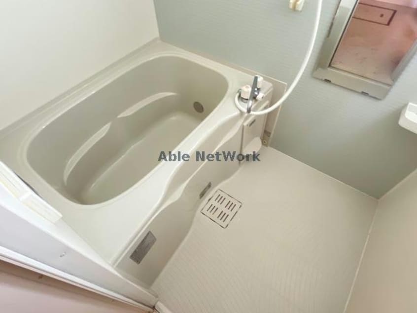  アクアフェバリット