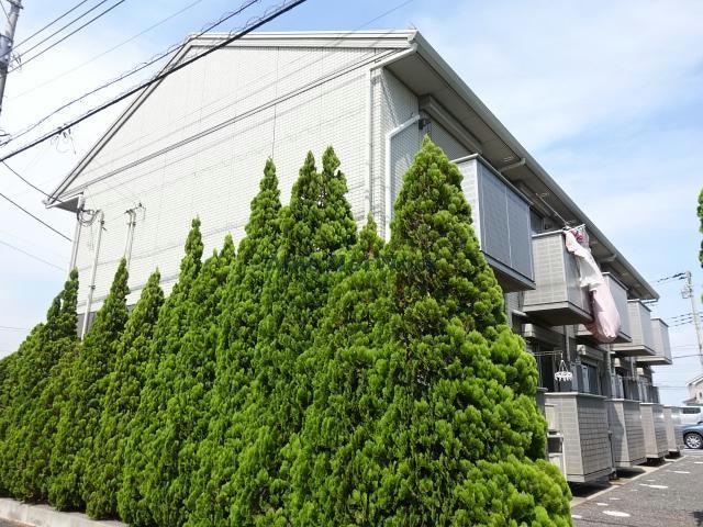  fortona木更津