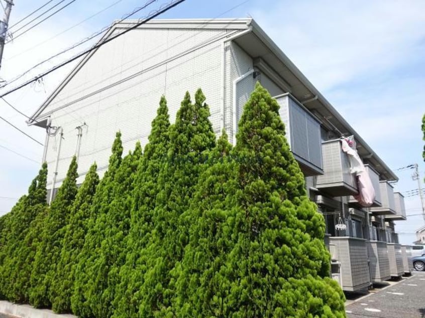  fortona木更津