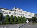 医療法人萩仁会萩原病院(病院)まで596m フェリーチェ(木更津市)