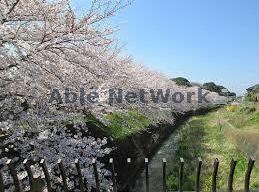 畑沢公園(公園)まで1048m コモド