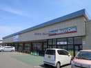 カワチ薬品富津店(ドラッグストア)まで314m BlueOcean ブルーオーシャン