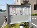  パレスジェリカⅢＢ