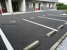  ラッフルズ