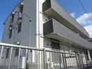  エーデルワイス
