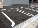  HIKARISUⅢ　ヒカリス　スリー