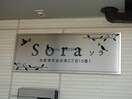  Sora ソラ