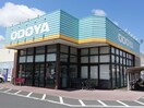 ODOYA広場店(スーパー)まで1269m セジュールオッツ東下沢