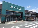 カインズ鴨川店(電気量販店/ホームセンター)まで1918m セジュールオッツ東下沢