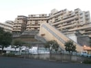 横須賀線/保土ケ谷駅 徒歩12分 5階 築37年の外観