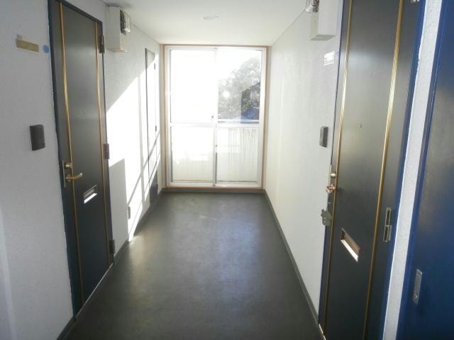 共用廊下も綺麗です 相鉄本線/和田町駅 徒歩16分 1階 築24年