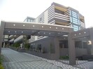 相鉄本線/星川駅 徒歩8分 1階 築16年の外観