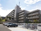 相鉄本線/和田町駅 徒歩15分 4階 築31年の外観