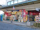 ヘルスケアセイジョー藤棚店(ドラッグストア)まで126m 相鉄本線/西横浜駅 徒歩9分 2階 築7年