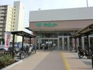 サミットストア上星川店(スーパー)まで584m 相鉄本線/上星川駅 徒歩10分 2階 築6年
