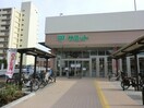サミットストア上星川店(スーパー)まで662m 相鉄本線/上星川駅 徒歩14分 2階 築2年