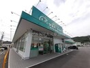 ザグザグ金川店(ドラッグストア)まで3293m シェネル