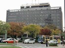 岡山市役所(役所)まで1111m スタシオン南