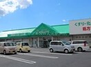 ザグザグ小山店(ドラッグストア)まで1430m エスペランザ