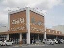 ハピッシュ金川店(スーパー)まで333m ベントルナータ　Ａ