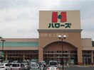 ハローズ花尻店(スーパー)まで492m アネーロ白石