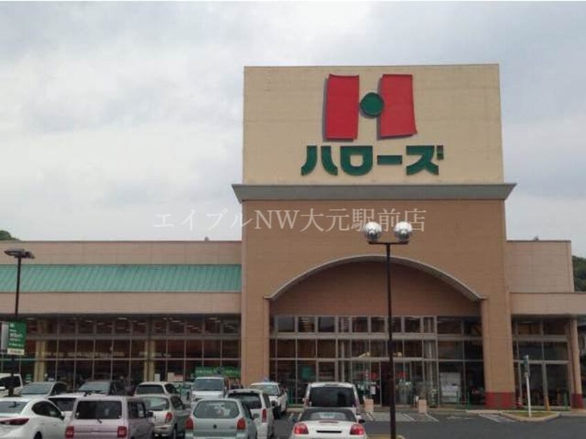 ハローズ花尻店(スーパー)まで492m アネーロ白石