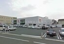 ユニクロ岡山十日市店(ショッピングセンター/アウトレットモール)まで598m アルヴィータⅡ