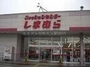 ファッションセンターしまむら下中野店(ショッピングセンター/アウトレットモール)まで2692m フィネスエトワール